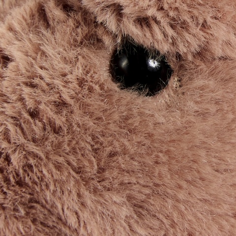 Miś pluszowy z koszulką, Maskotka Max, przytulanka Tullimals, brąz 30 cm